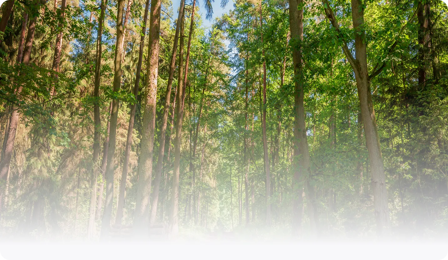 Klubtagság háttér mobil