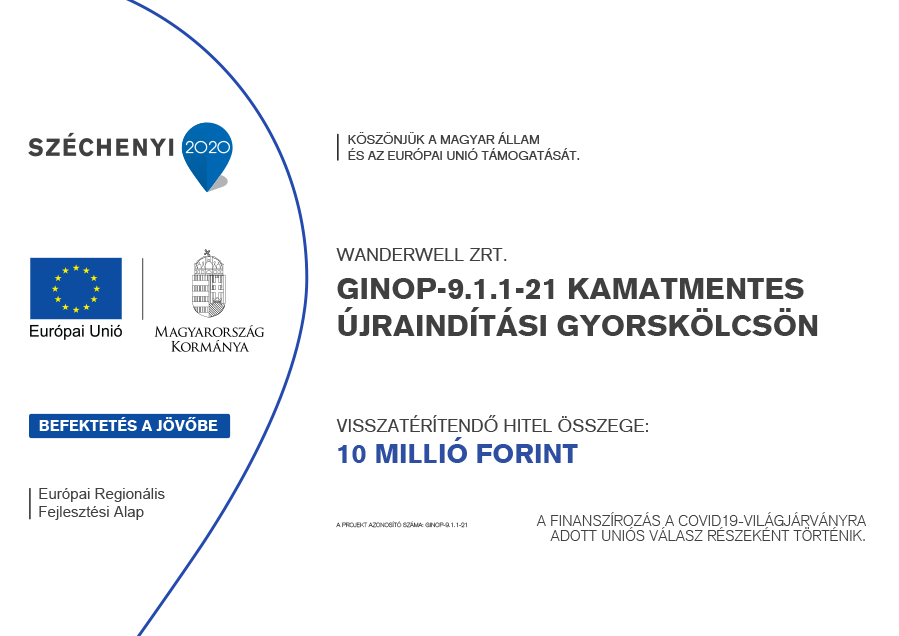 GINOP-9.1.1-21 projekt dokumentum
