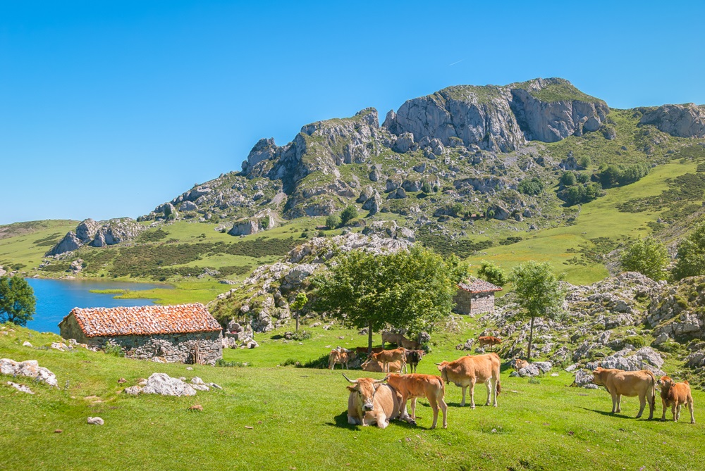 Covadonga tavak Észak Spanyolroszágban Asztúria régióban kalandtúrás csoporttal