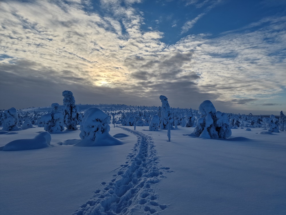 Hotalpas_tura_Finnorszag_Lappfold_sarki_feny_aurora_borealis_4