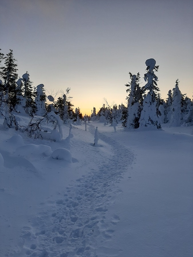 Hotalpas_tura_Finnorszag_Lappfold_sarki_feny_aurora_borealis_5