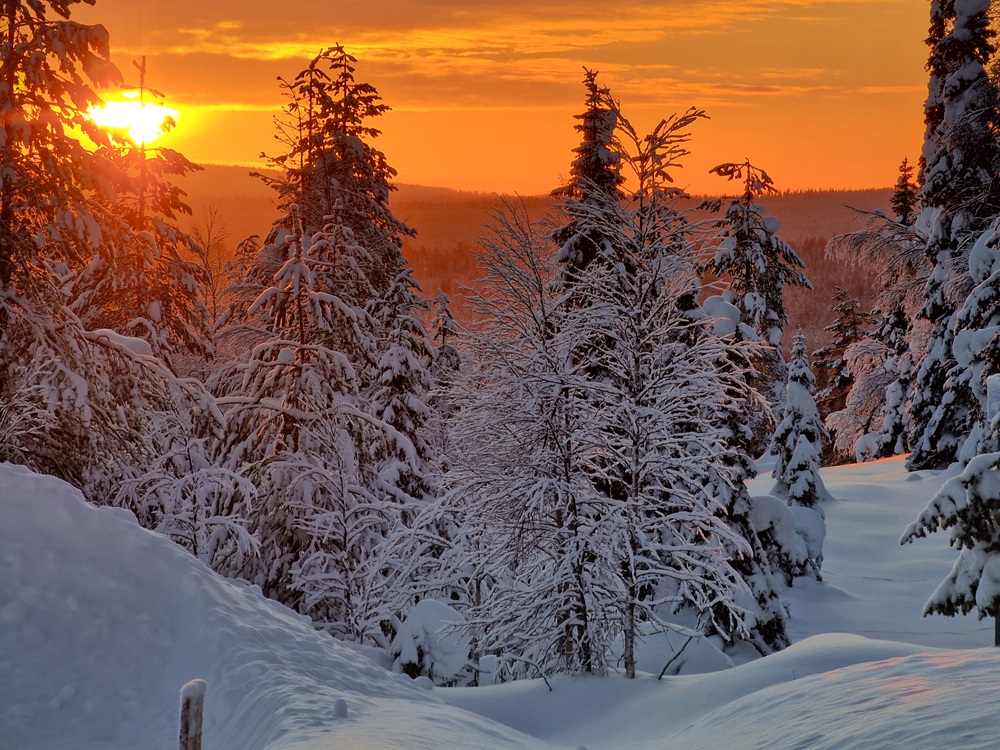 Hotalpas_tura_Finnorszag_Lappfold_sarki_feny_aurora_borealis_7