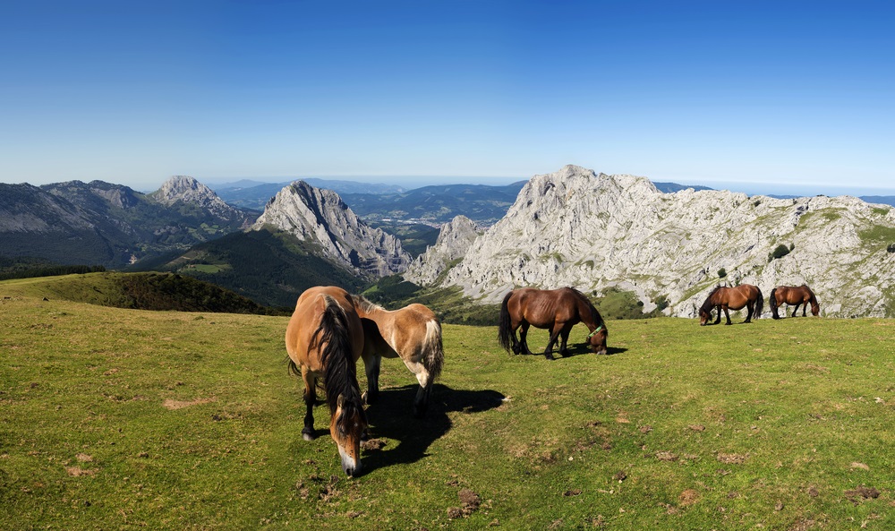 Urkiola Nemzeti Park túra spanyol kalandutazás