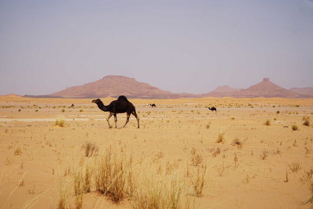 terepjaros_tura_marokko_sivatag_2