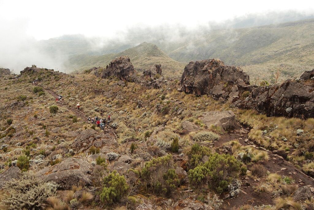 Machame,Route,To,Kilimanjaro,Summit.,Stage,2,From,Machame,Hut