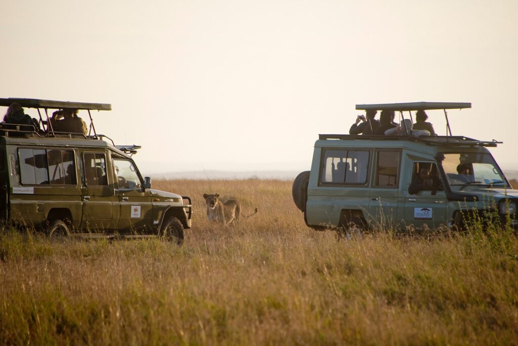 Serengeti,,Tanzania,-,June,,27,,2018,-,Safaria,Jeeps,Around