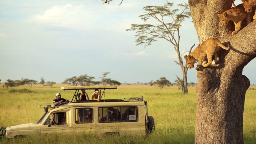 Serengeti/tanzania,-,01/12/2019,People,Are,Inside,The,Car,While,They