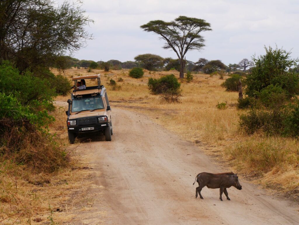 tanzania_szafari_kalandtura_1