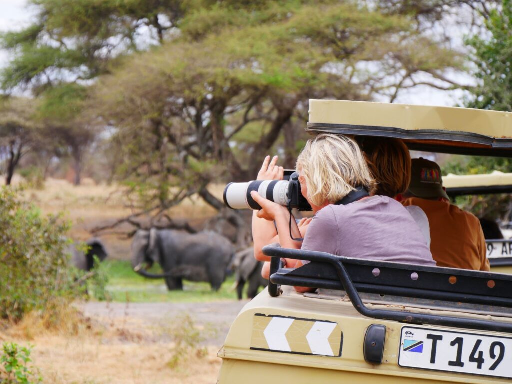 tanzania_tarangire_csoportosut_2