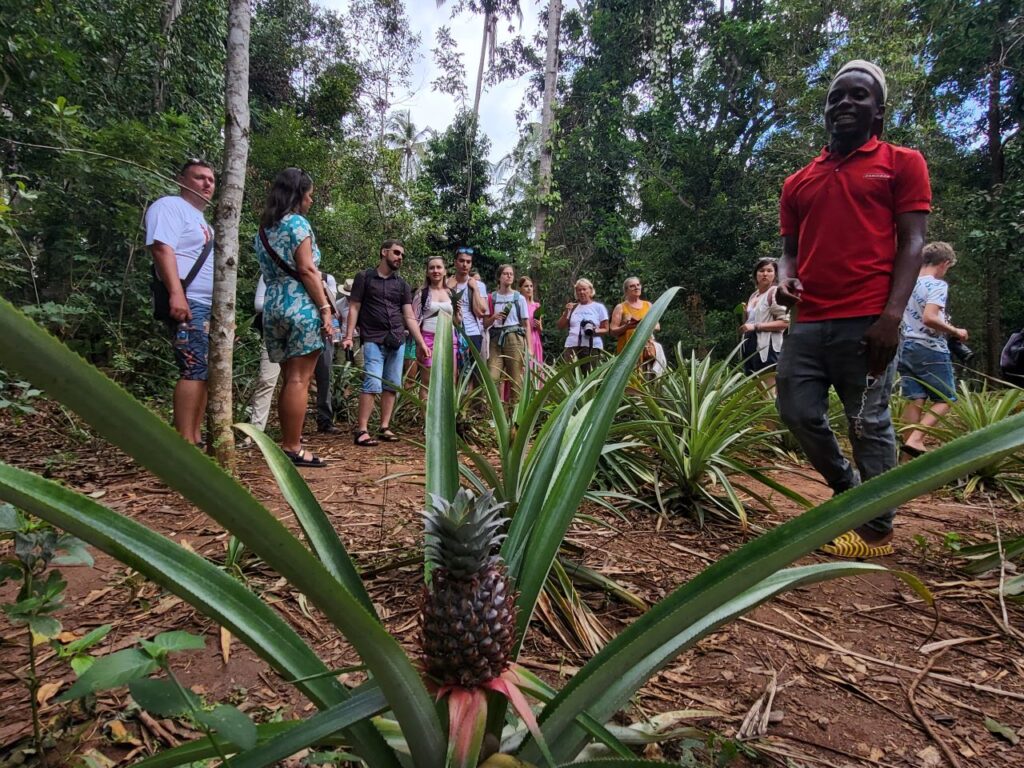 zanzibar_csoportos_kalandtura_1 (1)