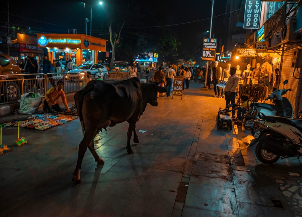 Agra,,India,-,November,8,,2017:,Evening,Street,Of,Agra,
