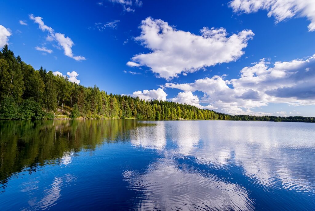 Forest,Lake,On,Cloudy,Summer,Day