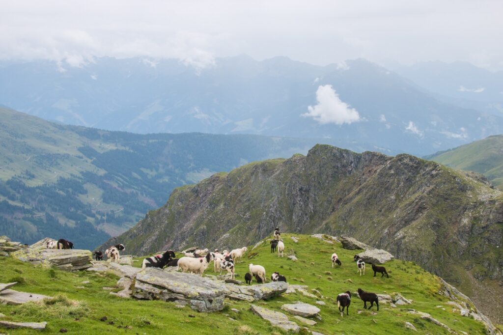 Lienzi-Dolomitok kalandtúra csapattal Karlsbader Hütte Lasertörl 5