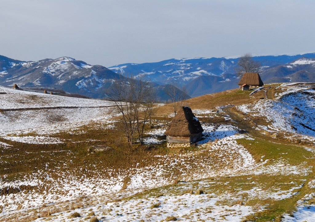 Shelters,For,Animals,On,The,Tops,Of,The,Trascau,Mountains,