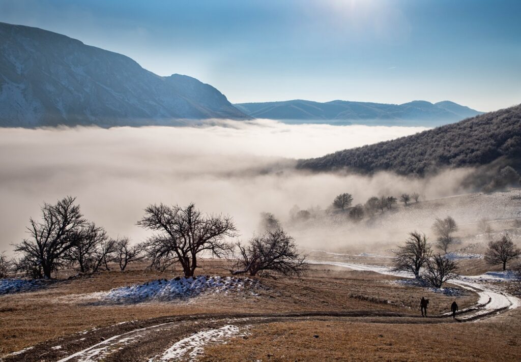 Amazing,Winter,Landscape,With,Fog,And,Frosty,Trees,In,Rimetea