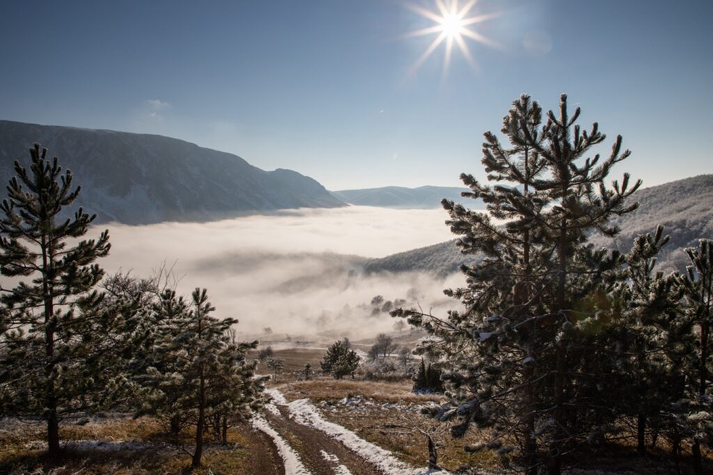 Amazing,Winter,Landscape,With,Fog,And,Frosty,Trees,In,Rimetea