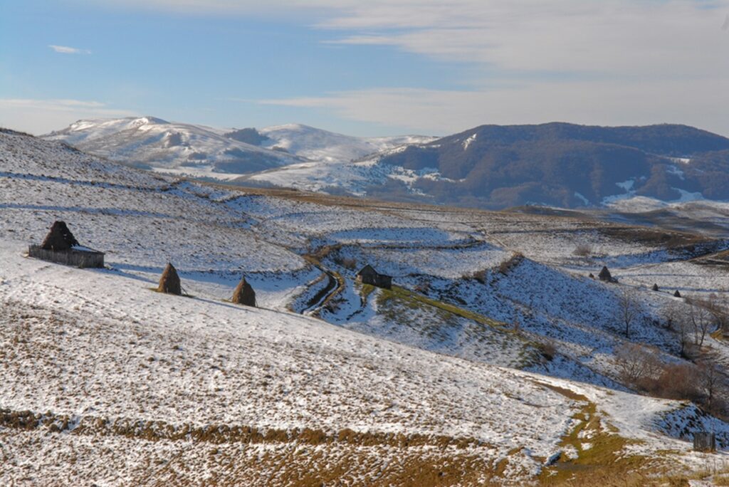 Winter,Came,On,The,Slopes,Of,The,Trascau,Mountains,romania