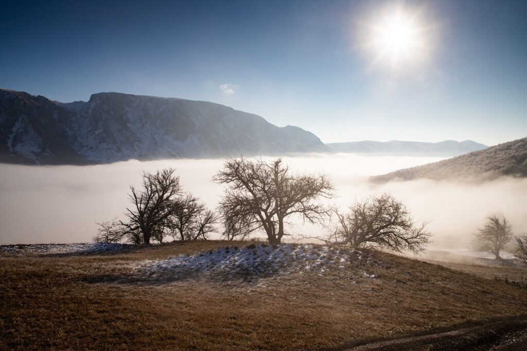 Amazing,Winter,Landscape,With,Fog,And,Frosty,Trees,In,Rimetea