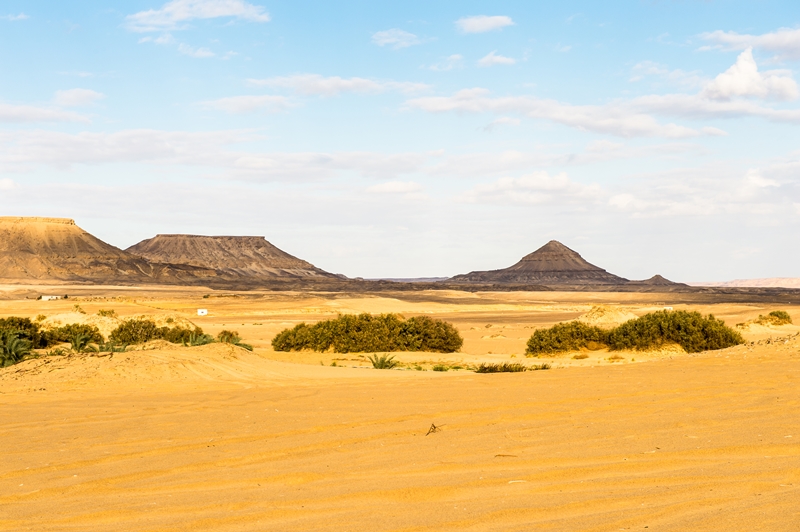 Bahariya,Oasis,,Egypt