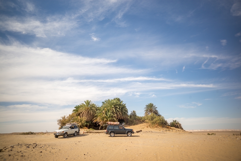 Oasis,At,Desert,Bahariya,Egypt