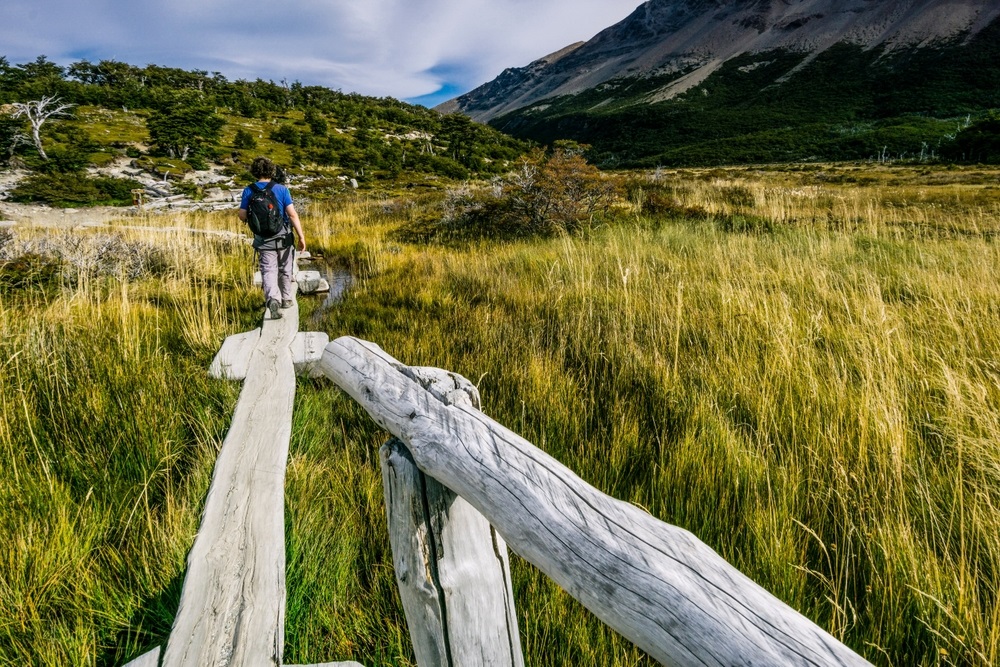 Trail,To,Poincenot,Camp,,El,Chalten,,Los,Glaciares,National,Park,