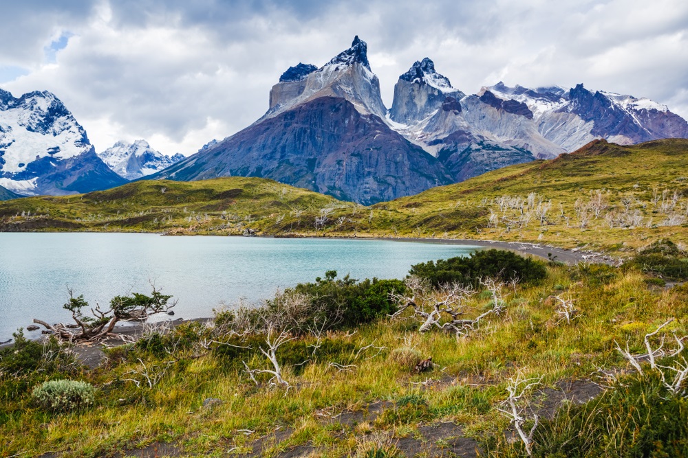 National,Park,Torres,Del,Paine,,Patagonia,,Chile