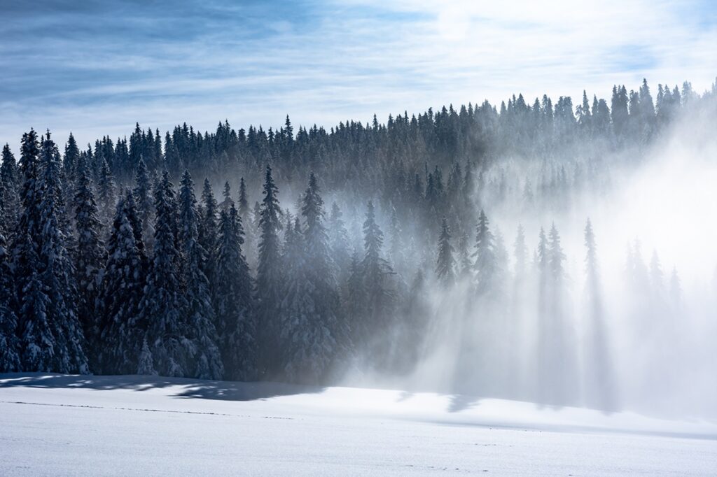 Magical,Way,To,The,Krá?ova,Ho?a,In,The,Low,Tatras