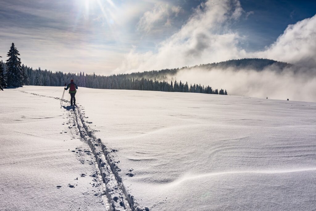 Magical,Way,To,The,Krá?ova,Ho?a,In,The,Low,Tatras