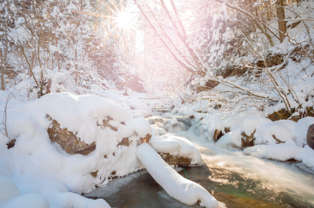 Winter,Landscape,At,Poiana,Marului,In,Caras,Severin