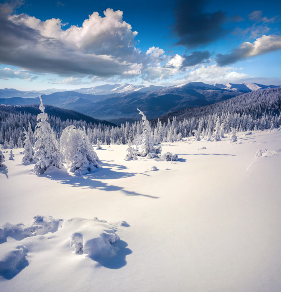 Sunny,Winter,Landscape,In,The,Carpathian,Mountains.,Pazharska,Glade,,Ukraine,