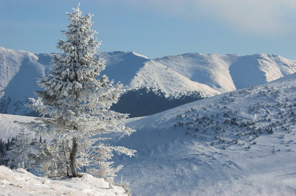 Winter,Landscape,From,Rodnei,Mountains,,Romania