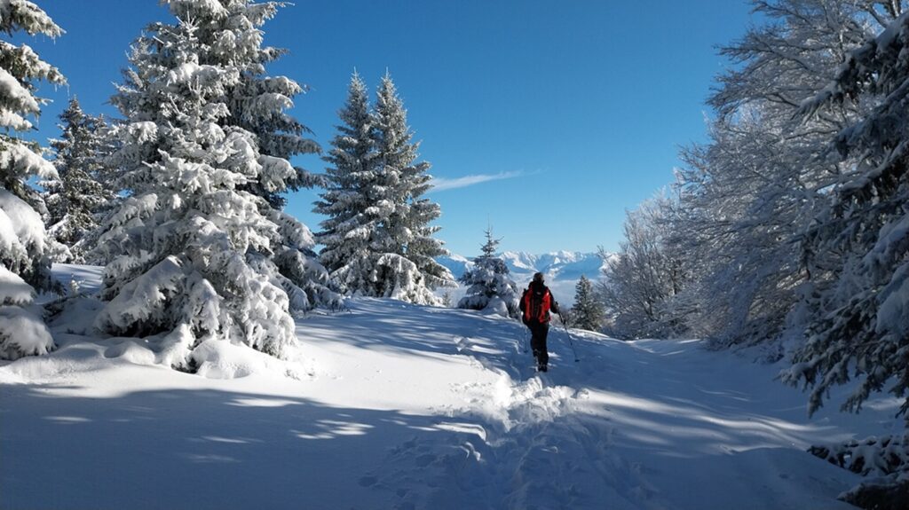 Snowshoe,Trekking,Day,In,The,Vercors,,On,The,Sornin,Plateau