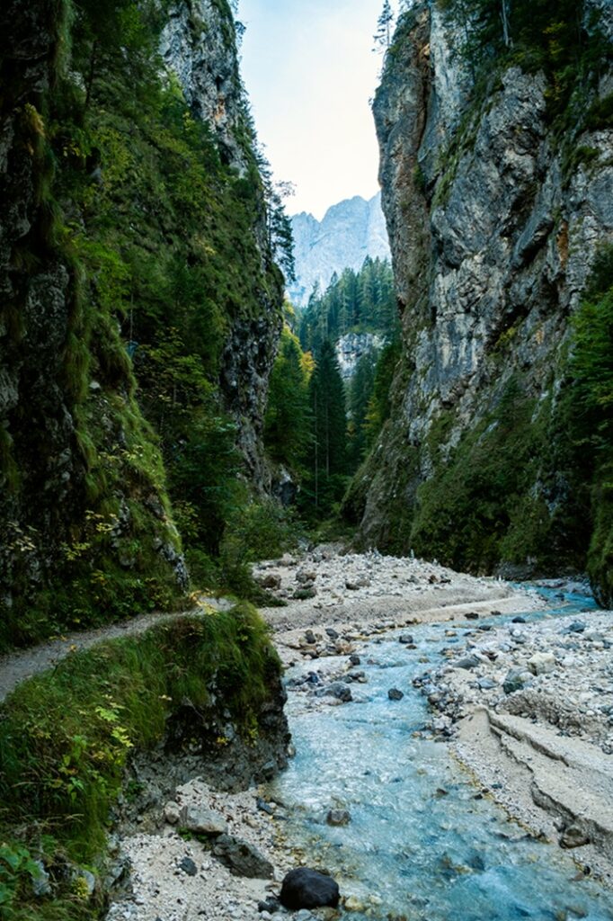 Martuljki,Slapovi,Or,Martuljek,Falls,In,Gozd,Martuljek,In,Northern