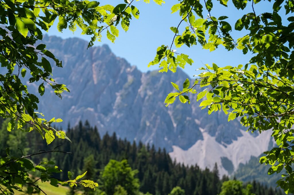 Panoramic,View,Of,Majestic,Mountain,Ridges,Of,Karawanks,In,Bodental,