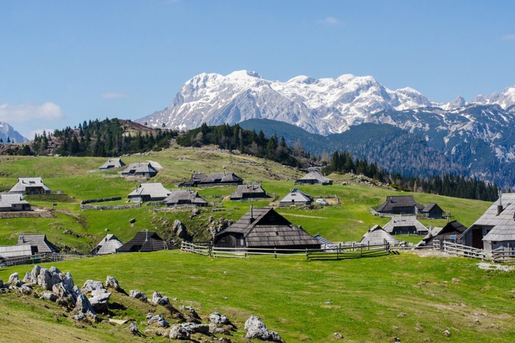 The,Herder