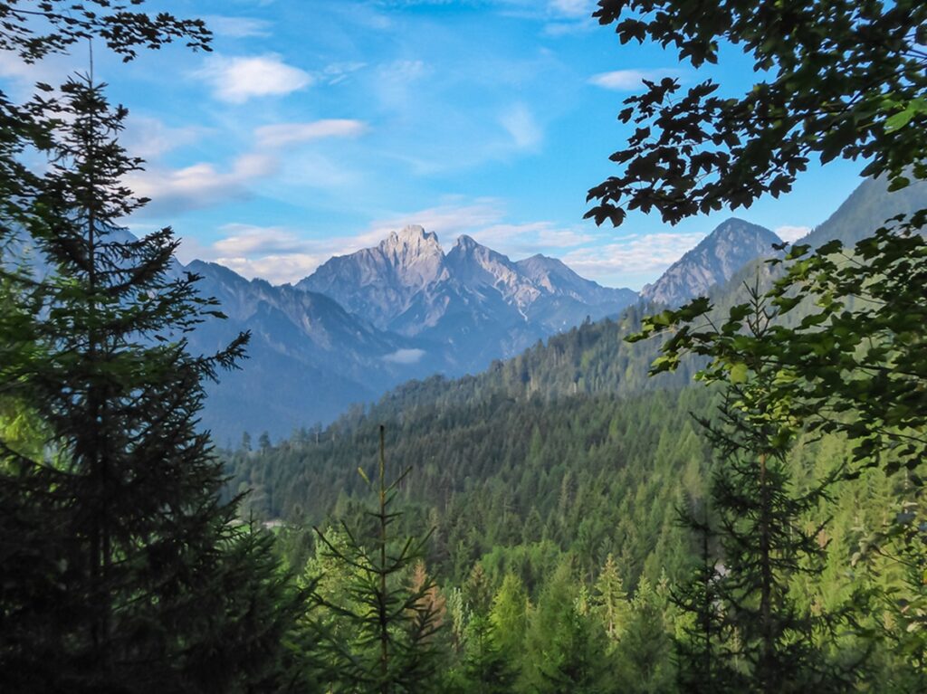 Trees,Framing,Panoramic,View,Of,Majestic,Mountain,Range,Of,Gesäuse,