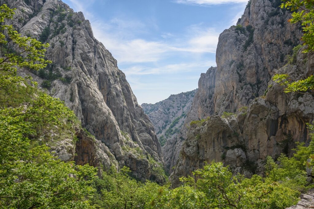 Limestone,Gorge,,Paklenica,National,Park,,Croatia,,Europe