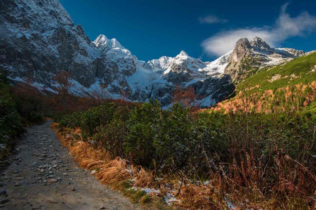 Beautiful,Mountain,Trail,Leading,Through,The,Autumn,Valley,In,The