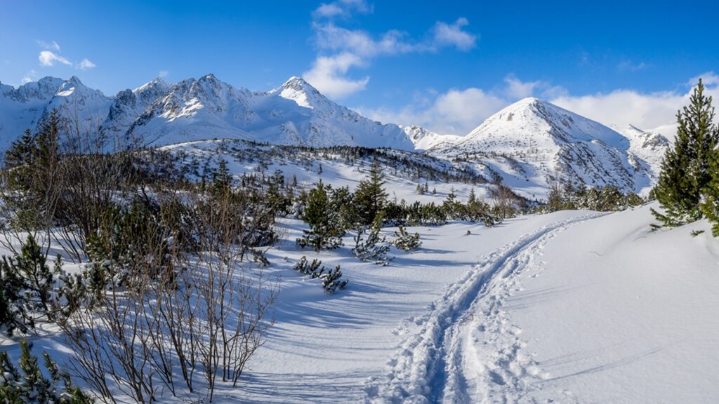 The,View,Of,Snowy,Path,Way,In,High,Tatras,Mountains.