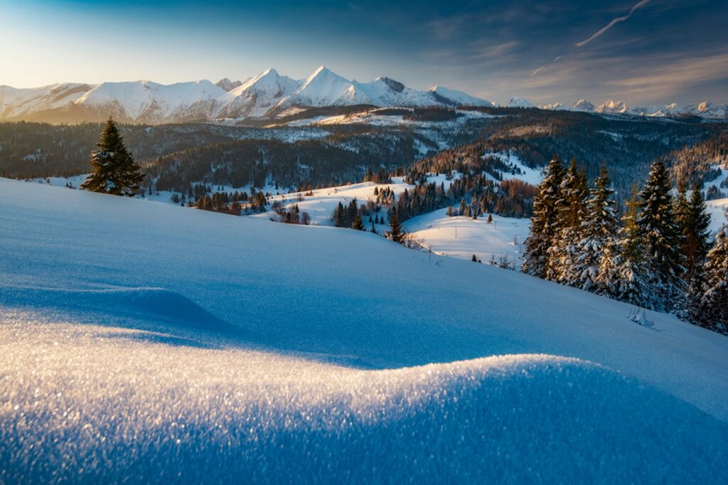 Fairytale,Winter,Country,With,Amazing,Snowy,Peaks,,Spruce,Trees,,Blue