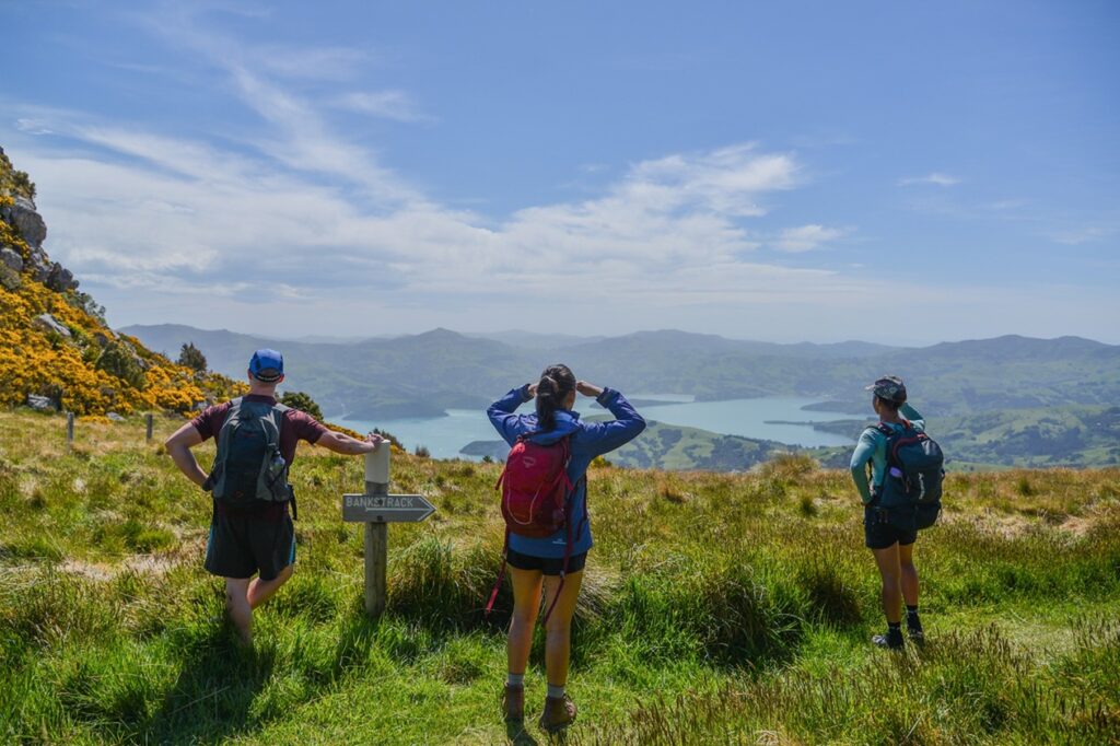 Uj_Zeland_Banks_trekking_utazas_6